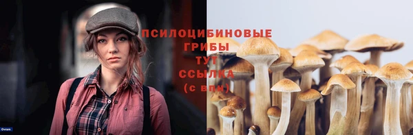 а пвп мука Арсеньев