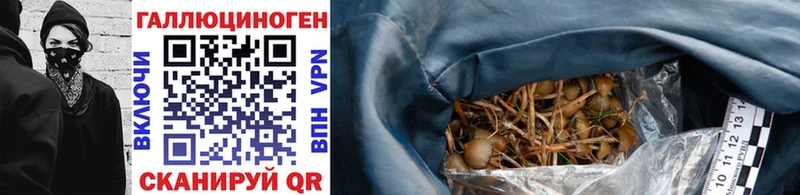 Галлюциногенные грибы GOLDEN TEACHER  купить наркотики сайты  Искитим 